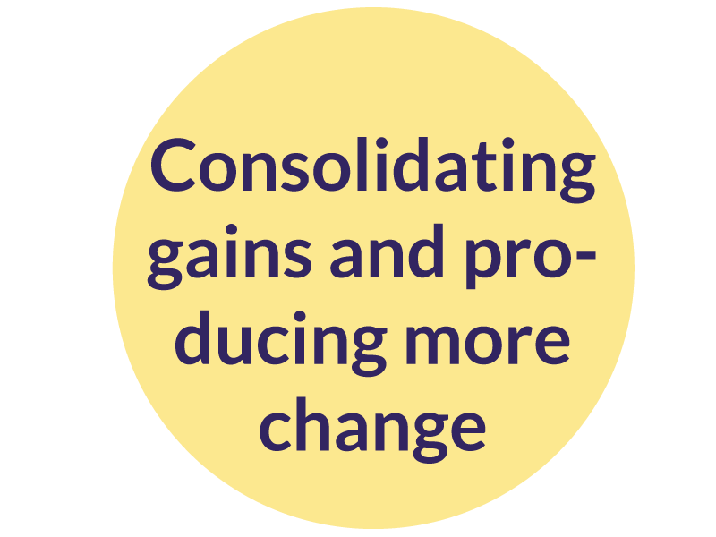 TLS-change-leadership-process-phase-7