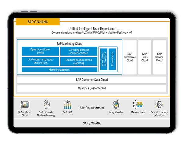 tls-sap-2